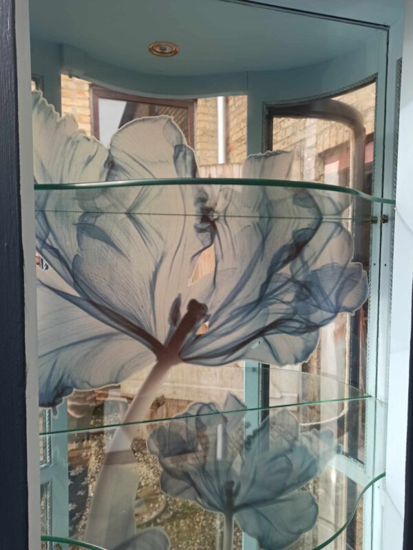 Vitrine Glas Spiegel Blau hellblau Shabby Regal Schrank Licht Vintage Upcycling – Bild 6