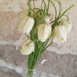 Blume Stiel Künstlich Frühling Seidenblumen Beige 3Stück