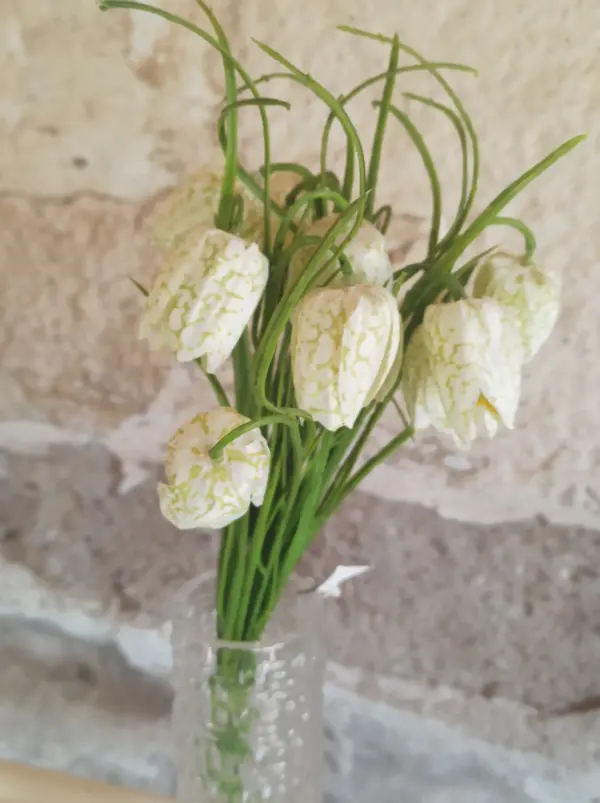 Blume Stiel Künstlich Frühling Seidenblumen Beige 3Stück