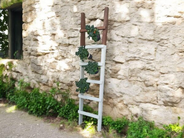 Leiter Holzleiter Pflanzleiter Kräuterleiter Shabby Garten Edwin